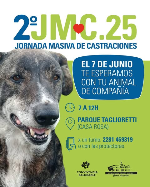 Imagen Noticia