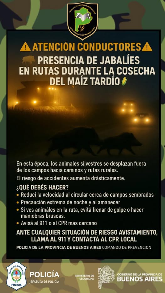 Imagen Noticia